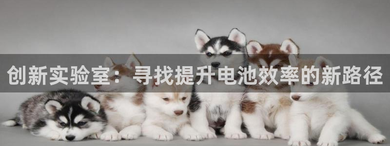 中国电子舞cq9：创新实验室：寻找提升电池效率的新路径