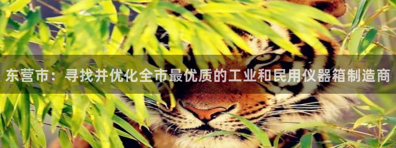 cq9电子辅助器：东营市：寻找并优化全市最优质的工业和民用仪