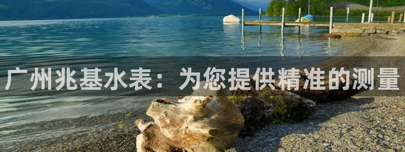 cq9电子反水：广州兆基水表：为您提供精准的测量