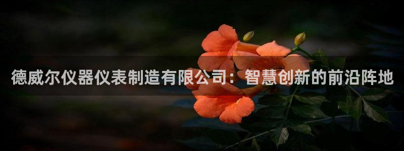 cq9火凤凰电子：德威尔仪器仪表制造有限公司：智慧创新的前沿