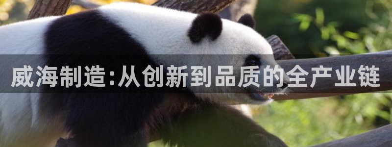 cq9电子官网平台：威海制造:从创新到品质的全产业链