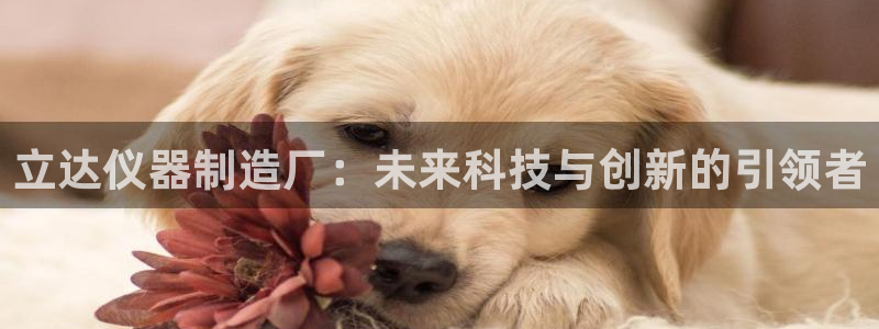 cq9电子爆分全集：立达仪器制造厂：未来科技与创新的引领者