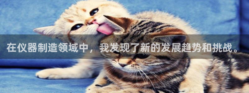 cq9电子最高倍数：在仪器制造领域中，我发现了新的发展趋势和
