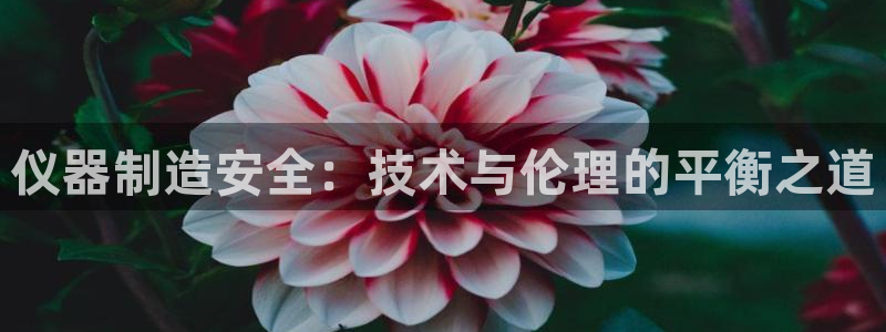 cq9电子是哪国的：仪器制造安全：技术与伦理的平衡之道