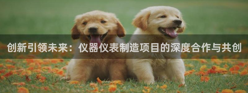 玩转cq9电子游艺：创新引领未来：仪器仪表制造项目的深度合作