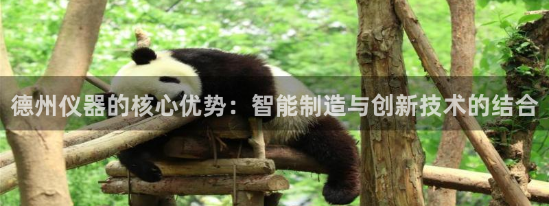 PG电子CQ9传奇：德州仪器的核心优势：智能制造与创新技术的