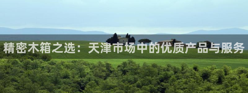 cq9电子平台棋牌下载：精密木箱之选：天津市场中的优质产品与