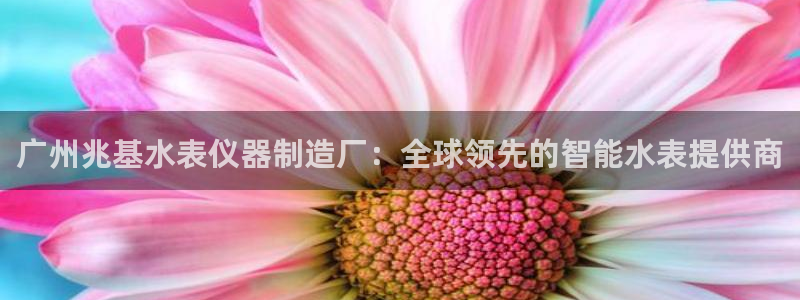 pg电子游戏cq9：广州兆基水表仪器制造厂：全球领先的智能水