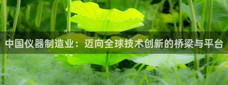 cq9传奇电子博彩网址：中国仪器制造业：迈向全球技术创新的桥