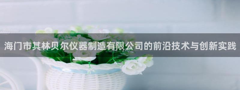 cq9电子冰球爆分：海门市其林贝尔仪器制造有限公司的前沿技术