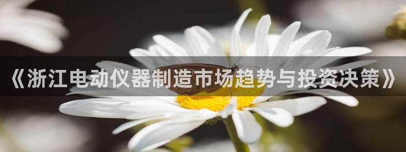 cq9电子余额：《浙江电动仪器制造市场趋势与投资决策》
