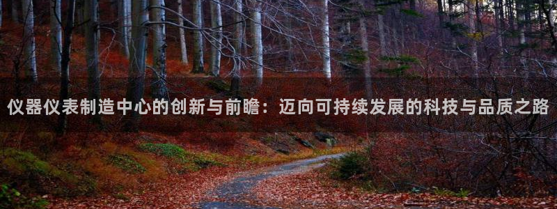 cq9电子游戏平台下载：仪器仪表制造中心的创新与前瞻：迈向可