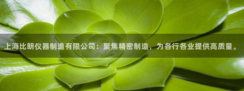 传奇电子cq9火凤凰：上海比朗仪器制造有限公司：聚焦精密制造