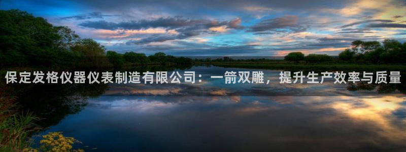 CQ9电子_官方平台：保定发格仪器仪表制造有限公司：一箭双雕