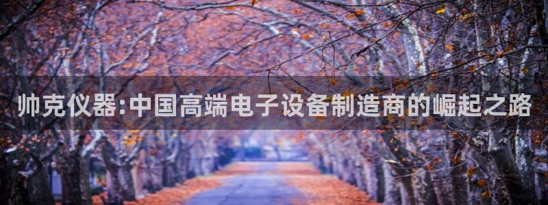 cq9电子榜解说：帅克仪器:中国高端电子设备制造商的崛起之路