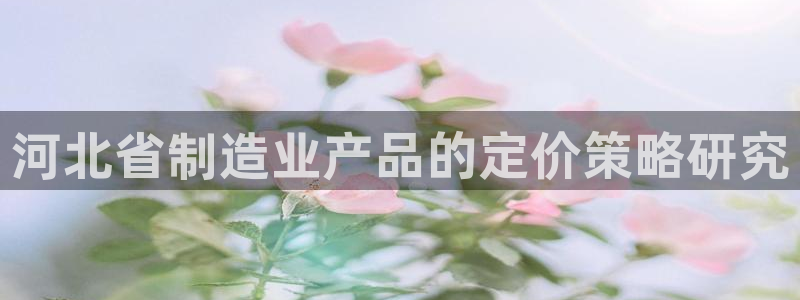 cq9电子跳过来：河北省制造业产品的定价策略研究