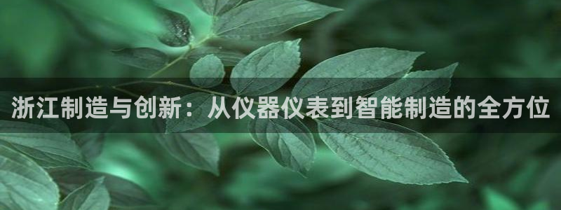 cq9电子游戏开发：浙江制造与创新：从仪器仪表到智能制造的全